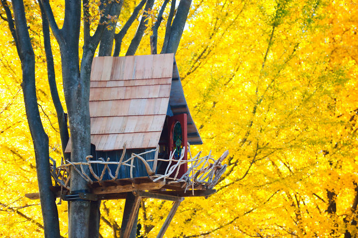 Treehouse Surrounded By Yellow, Tokyo, Japan