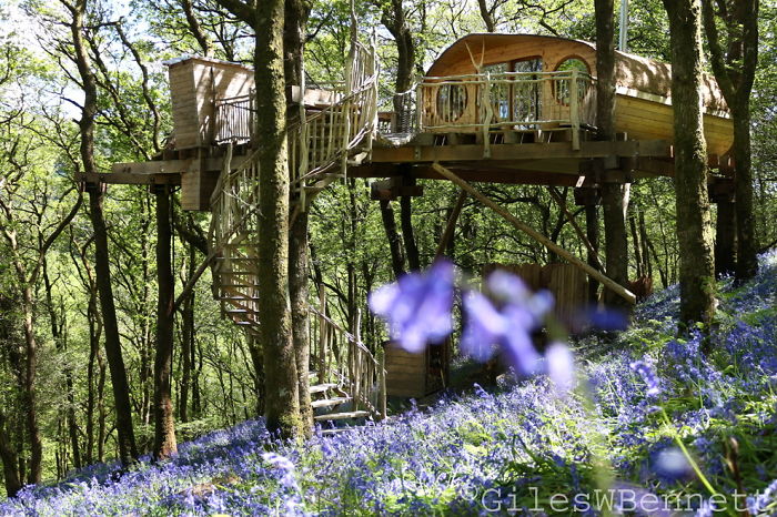 Treehouse In Wales, Uk (architect Peter Canham)