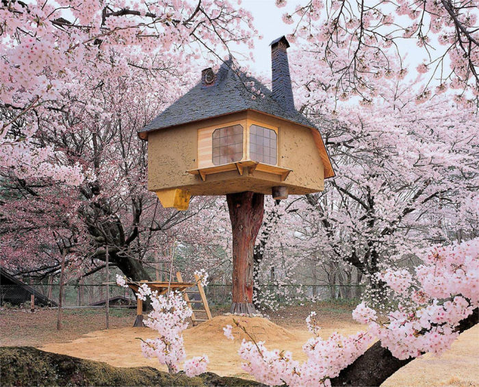 Teahouse Tetsu Treehouse In Hokuto City, Japan.