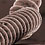 Looking-at-the-World-through-a-Microscope-thumb