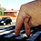 Say-NO-to-Photoshop-Do-Forced-Perspectives-thumb