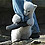 pictureoftheday0006-bear-attack-thumb45