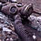 Chernobyl-Photos-thumb