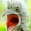 John-Fish-Birds-Thumb