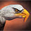 Hand-Painting-Art-Guido-Daniele-thumb45