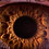 eye-macro-photo-thumb45
