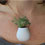 design-inspired-by-nature-thumb45