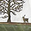 pod0036-leaf-cutout-lorenzo-duran-thumb45