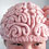 brain-hat-pattern-alana-noritake-thumb45