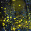 long-exposure-photography-fireflies-yuki-karo-thumb45