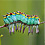 bird-caterpillar-jose-luis-rodriguez-thumb45