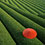 landscape-photography-thumb45