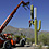 camouflage-cell-phone-towers-thumb45