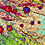 drinks-under-microscope-lester-bevshots-thumb45