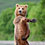 wildlife-bear-photography-nikolai-zinoviev-thumb45