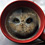 bird-of-prey-owl-coffee-cup-thumb45