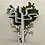 creative-bookshelves-thumb45