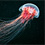 underwater-jellyfish-alexander-semenov-thumb45