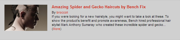 Amazing Spider and Gecko Haircuts by Bench Fix 