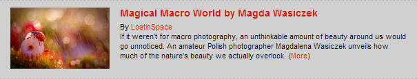 Magical Macro World by Magda Wasiczek