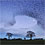murmuration-of-starlings-thumb45