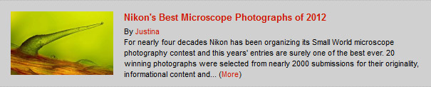 Nikonâs Best Microscope Photographs of 2012 