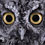 animal-photography-affinity-Brad-Wilson-thumb45