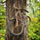bike-tree-thumb45