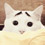 sam-cat-with-eyebrows-thumb45