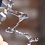 24hz-sine-wave-water-sound-experiment-brusspup-thumb45