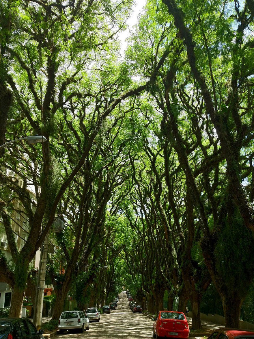 green-tunnel-street-porto-alegre-brazil-2