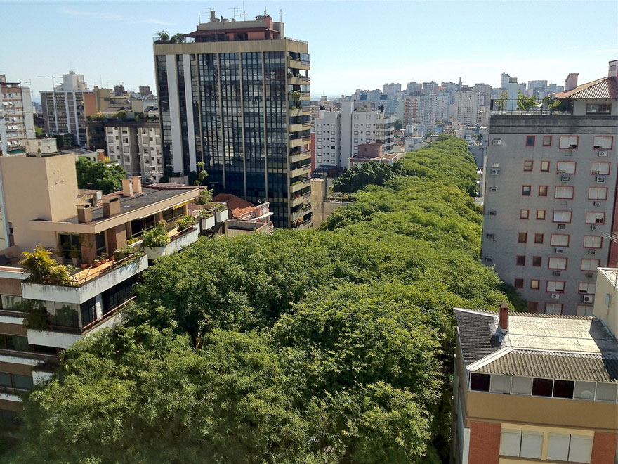 green-tunnel-street-porto-alegre-brazil-3