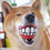 rogz-grinz-smiling-dog-ball-thumb45