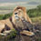 big-cat-small-cat-whiskas-thumb45