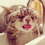 des-hommes-et-des-chatons-men-and-cats-thumb45