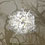 forest-tree-shadow-chandelier-hilden-diaz-thumb45