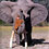 Real Life Mowgli: Girl Who Grew Up in the African Wildlife