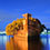 abandoned-ship-ss-ayrfield-floating-forest-thumb45