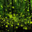 long-exposure-fireflies-nagoya-city-yume-cyan-thumb45