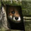 abandoned-house-animals-kai-fagerstrom-thumb45