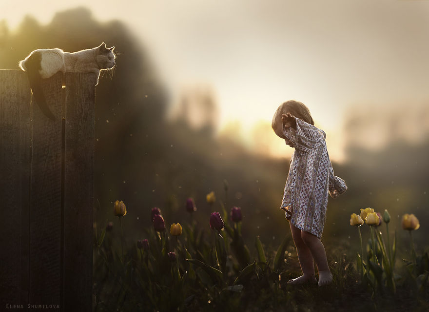animal-children-photography-elena-shumilova-13