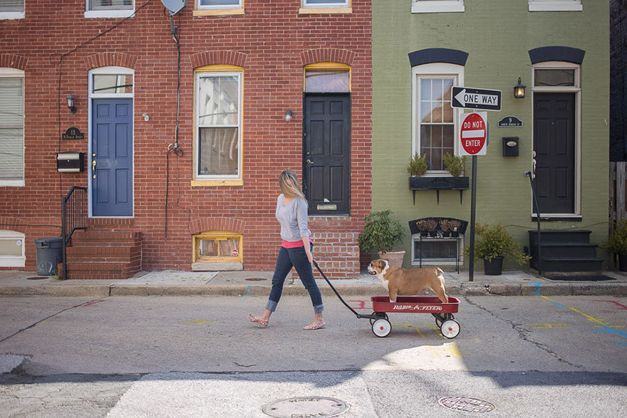 adopted-pets-why-we-rescue-theron-humphrey-10