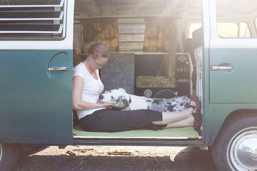 adopted-pets-why-we-rescue-theron-humphrey-24