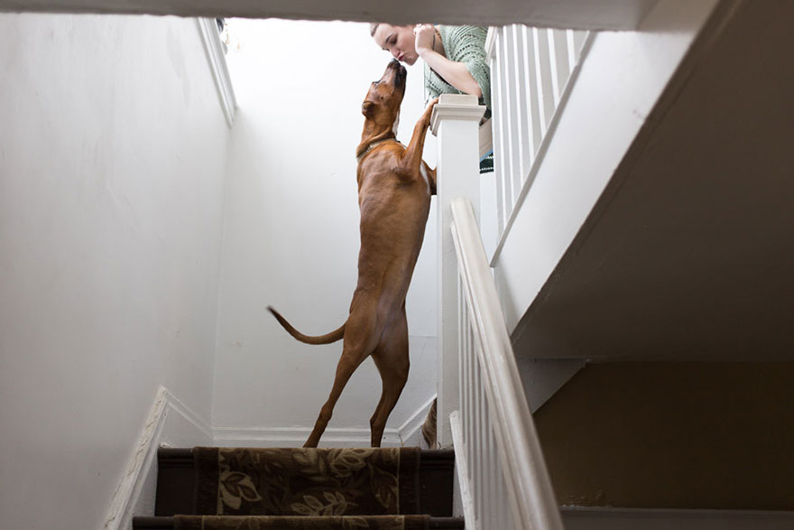 adopted-pets-why-we-rescue-theron-humphrey-28