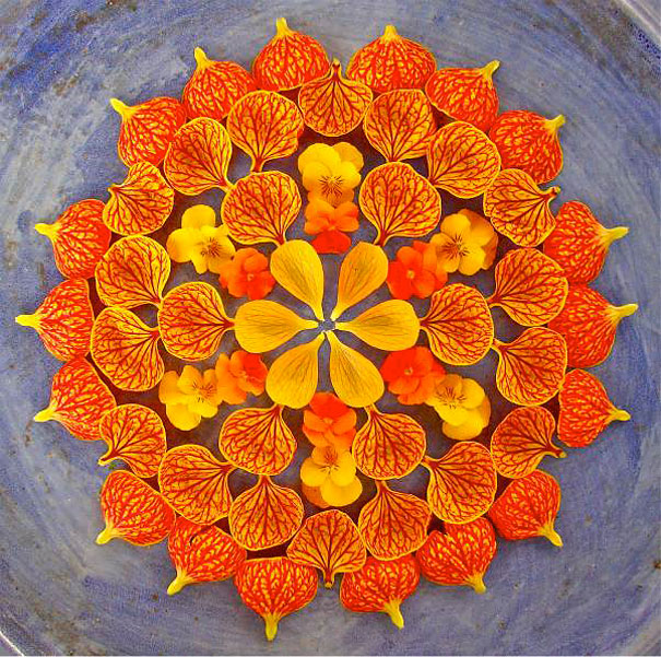 danmala-flower-mandala-kathy-klein-24