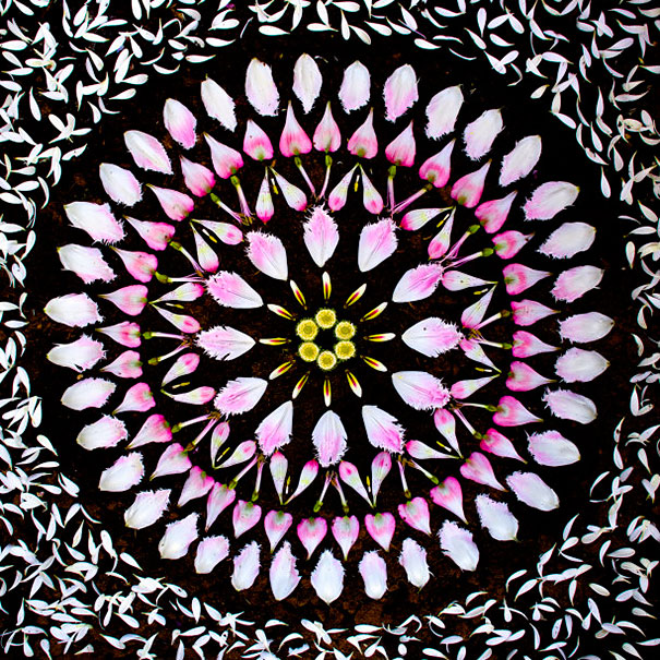 danmala-flower-mandala-kathy-klein-3