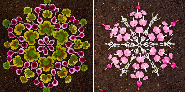 danmala-flower-mandala-kathy-klein-39