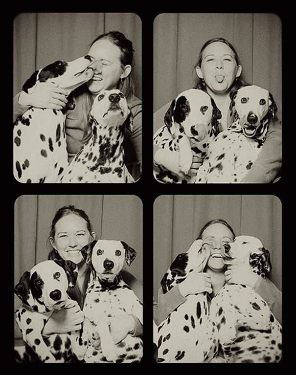 pit-bull-photo-booth-love-5