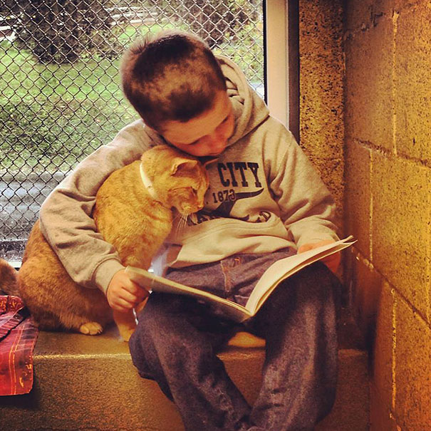reading-children-shelter-cats-book-buddies-11