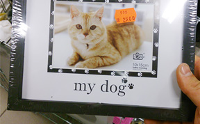 20+ Of The Worst Packaging And Labeling Fails Ever 20+ Of The Worst Packaging And Labeling Fails Ever